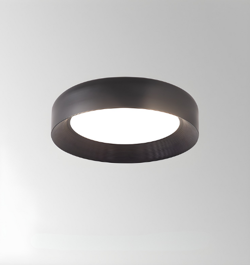 Ceiling Lamp Full-Spectrum LED